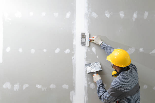 Best Basement Mold Removal  in St Martin, MS