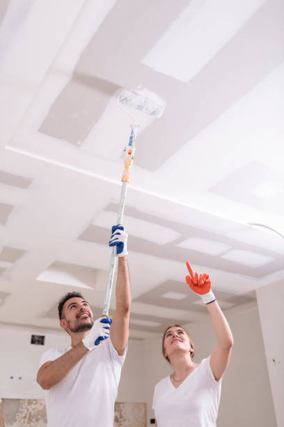 Best Mold Damage Restoration  in St Martin, MS