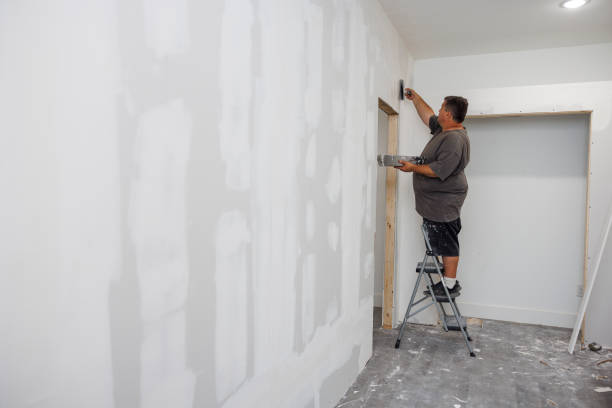 Best Airborne Mold Testing  in St Martin, MS