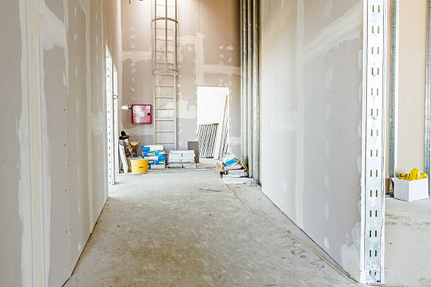 Best Post-Construction Mold Inspection  in St Martin, MS