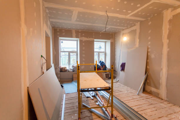 Trusted St Martin, MS Mold Removal Experts